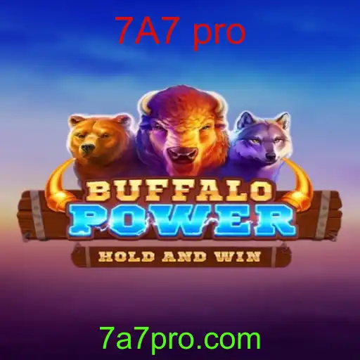 Descubra os Segredos e a Aventura de BuffaloPower 7A7 Pro